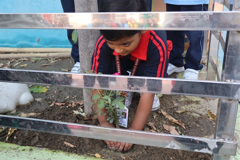 ACTIVITIES TOWARD A GREEN EARTH AND A CLEAN EARTH