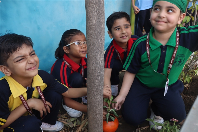 ACTIVITIES TOWARD A GREEN EARTH AND A CLEAN EARTH